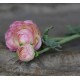 Kwiaty Sztuczne Jaskier Różowo-Kremowy