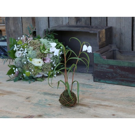 Fleur Frittilaria (S19) with moss ball