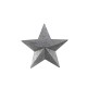 Star for wall (X20)