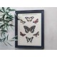 Picture w. butterfly motif & black frame