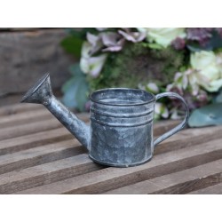 Watering Can for deco