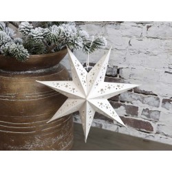 Vintage Paper Star