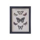Picture w. butterfly motif & black frame