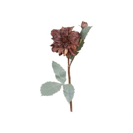 Fleur Dahlia
