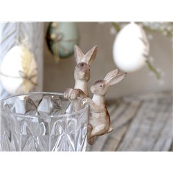Hare for glass