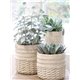 Corte Flowerpot w. braided pattern