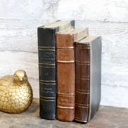 Old French Books for deco