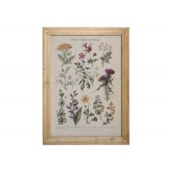 Picture w. wild flowers & nature frame