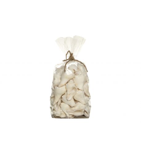 Seashells in a bag