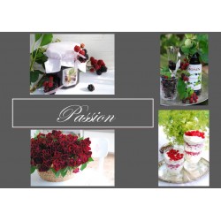 Flowercard "Passion" A6 48 items