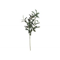 Fleur Olive Branch