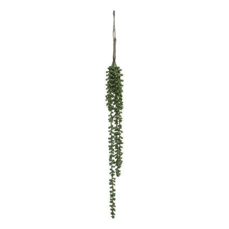 Fleur Hanging Plant