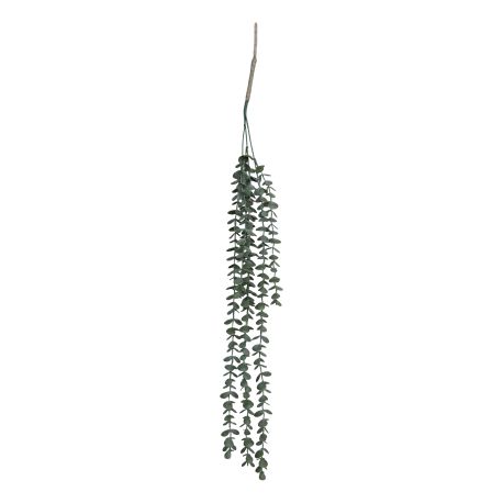 Fleur Hanging Plant