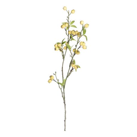 Fleur Branch w. sea buckthorn