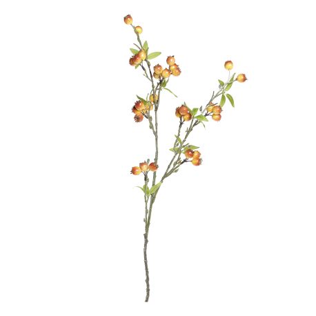 Fleur Branch w. sea buckthorn