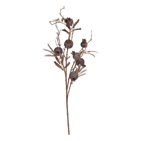 Fleur Branch w. seed pods