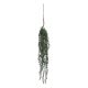 Fleur Hanging Plant