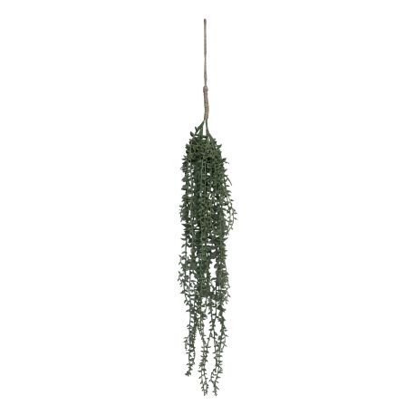 Fleur Hanging Plant