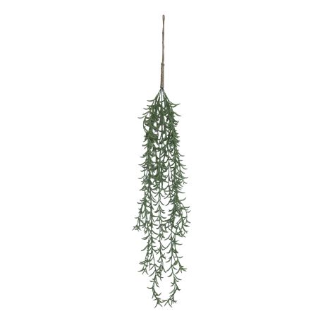 Fleur Hanging Plant