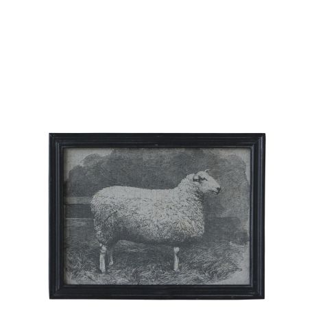 Picture w. animal motif & black frame