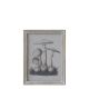 Picture w. mushroom motif & nature frame