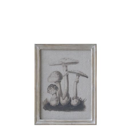 Picture w. mushroom motif & nature frame