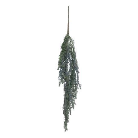 Fleur Hanging Plant