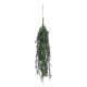 Fleur Hanging Plant