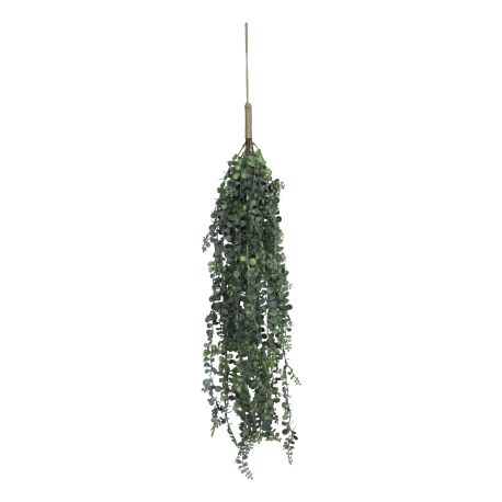 Fleur Hanging Plant