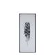 Picture w. feather motif & black frame