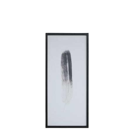 Picture w. feather motif & black frame