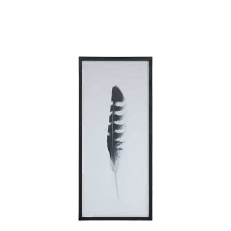 Picture w. feather motif & black frame
