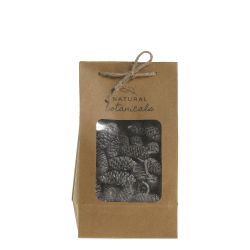 Fleur dried Cones