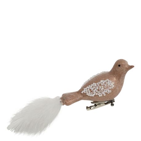 Bird w. clip & feathers