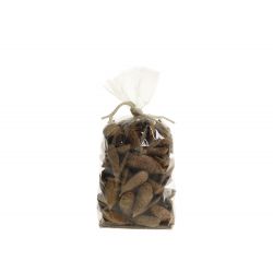 Fleur dried Seed Pods