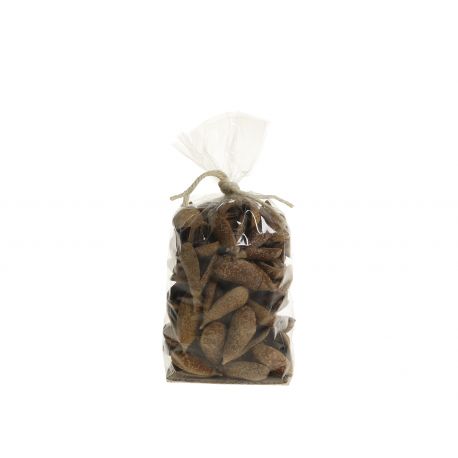 Fleur dried Seed Pods