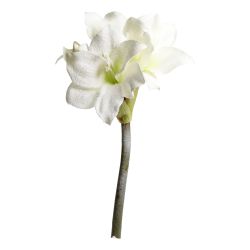 Fleur Amaryllis w. snow & glitter