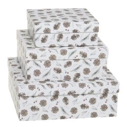 Box w. pine cones set of 3