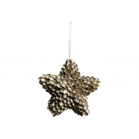 Star for hanging