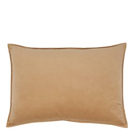 Aix Pillowcase in velour