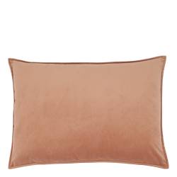 Aix Pillowcase in velour