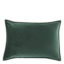 Aix Pillowcase in velour