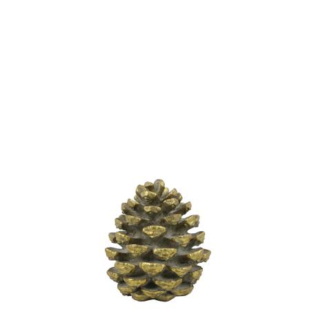 Cone