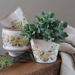 Cabinet braided w. 2 doors & 2 drawers