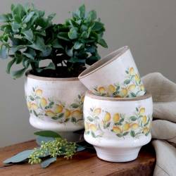 Doniczka Limone Blossom z cytrynami i kwiatami