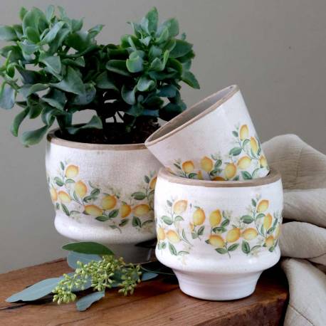 Doniczka Limone Blossom z cytrynami i kwiatami