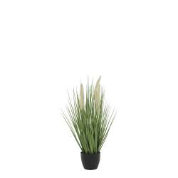Fleur Reed Plant w. foxtail grass