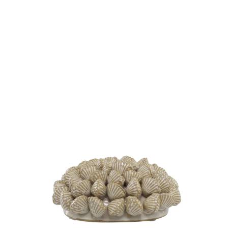 Coral w. sea shells for deco