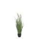 Fleur Reed Plant w. foxtail grass